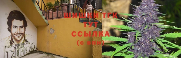 соль курить ск Лагань