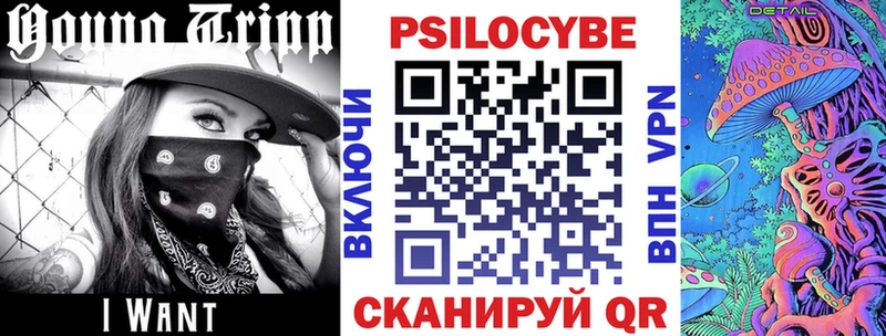 Галлюциногенные грибы Psilocybe  Иноземцево 